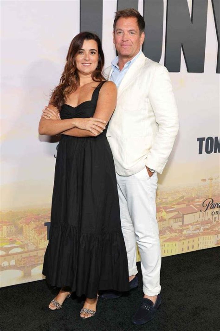 Cote de Pablo Married? Unpacking Her Relationship Status