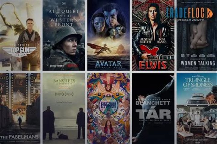 Rdxhd Movies: Why Choosing Legal Streaming is Always the Smartest Play Today